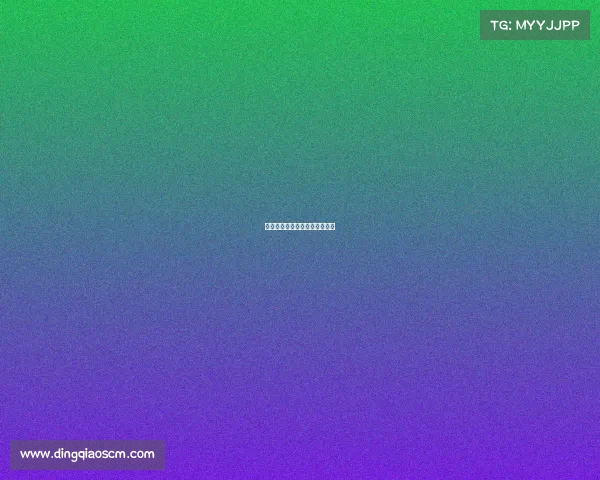 鑫怡电竞：荣耀加冕，再启新程